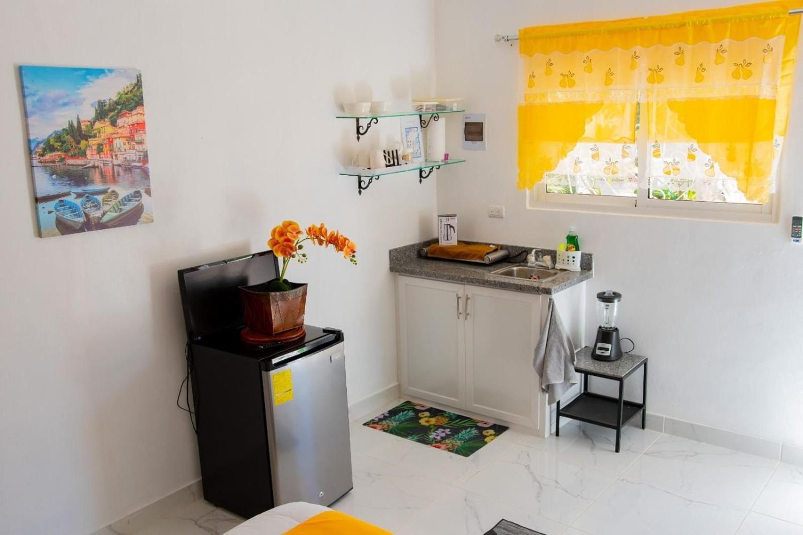 Royal Terrace I Apartment Puerto Plata Luaran gambar