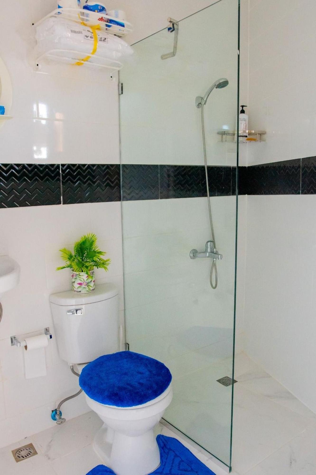 Royal Terrace I Apartment Puerto Plata Luaran gambar